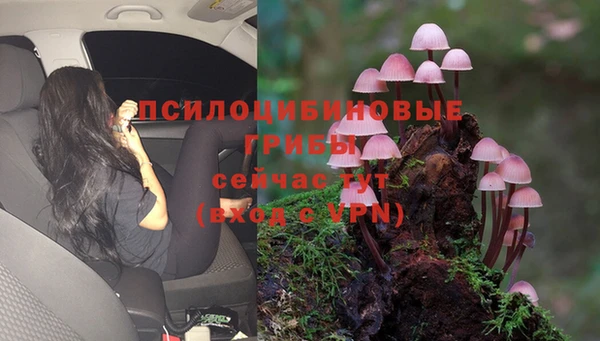 прущая мука Баксан